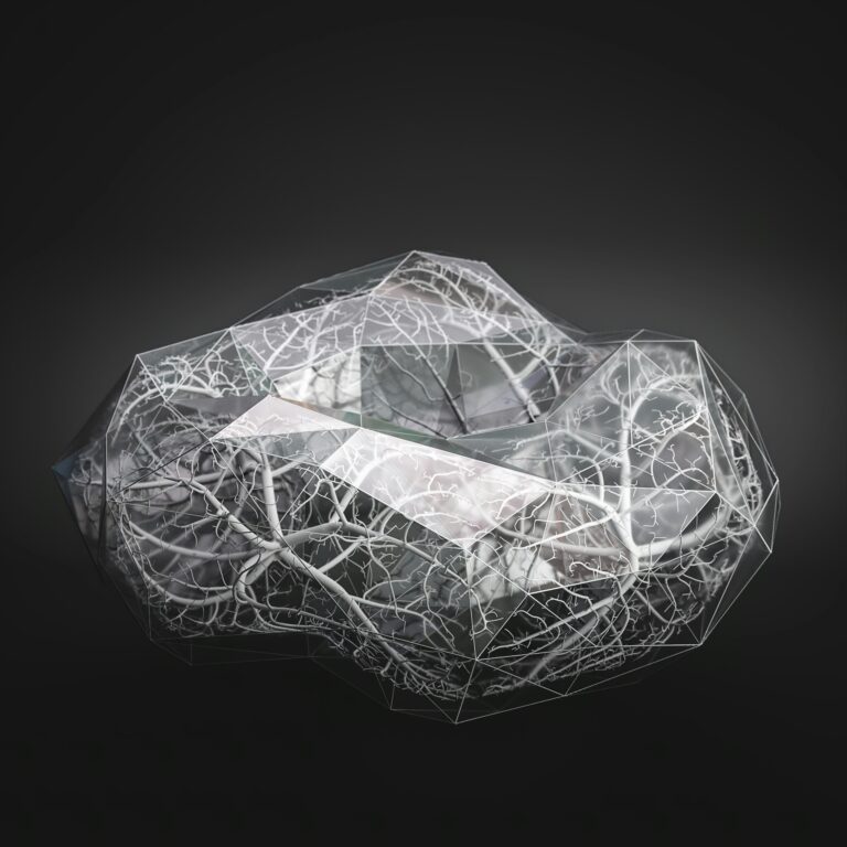 Levente Gyulai Hdt5wybrtww Unsplash